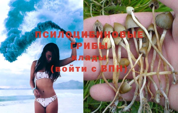 спайс Касимов