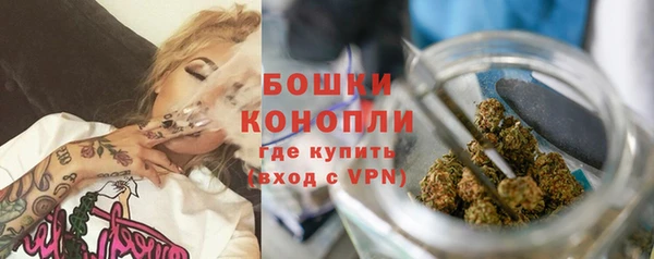 стаф Кинешма