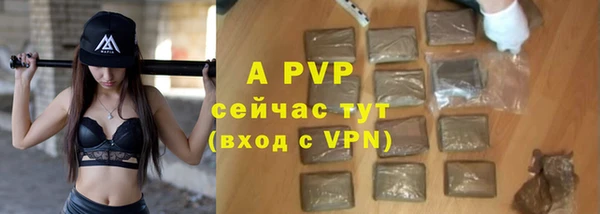 спайс Касимов