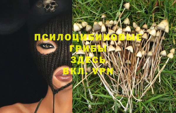 мет Грязовец