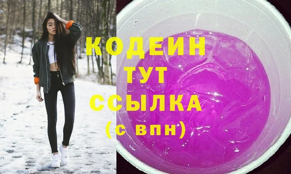 стаф Кинешма