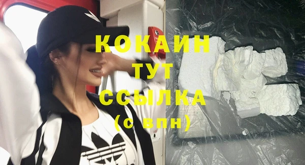 мдпв Карпинск