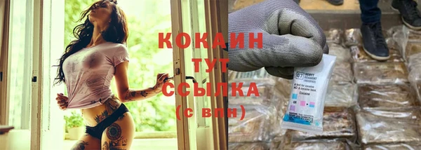 крисы Каменногорск