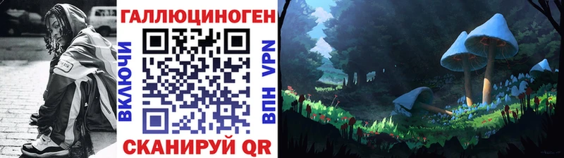 Псилоцибиновые грибы Psilocybine cubensis  как найти   blacksprut зеркало  Катайск 